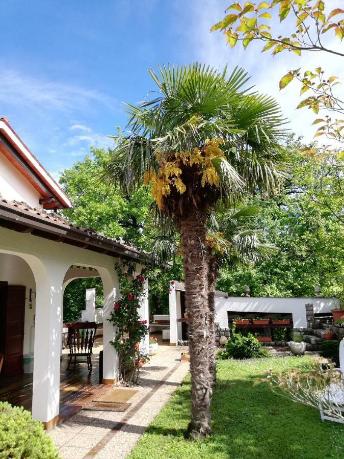 Apartment Slavi Vipava Luaran gambar